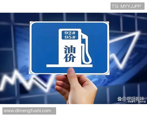 南京极限运动队的防反策略解析与热点趋势探讨