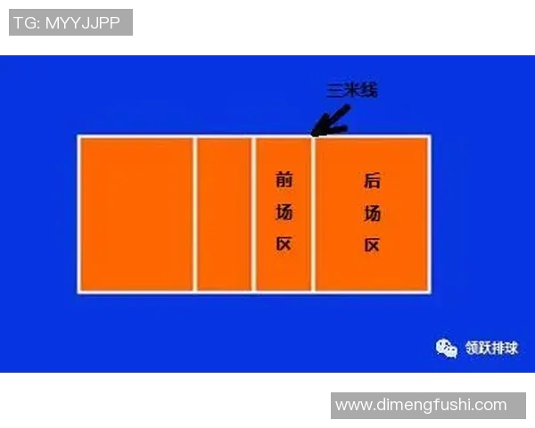 杭州排球队进攻策略全解析揭秘排球深度与战术运用