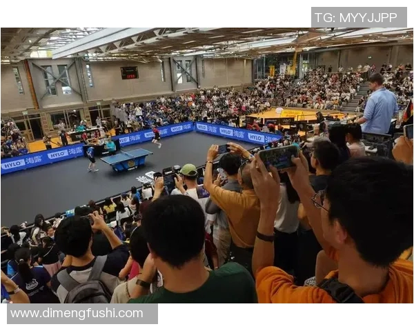 杭州羽毛球队配合变革引发热议助力竞技水平提升与团队协作发展