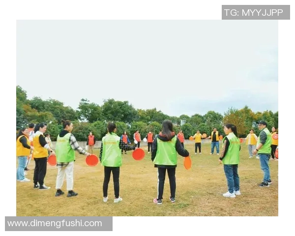 飞盘竞技的魅力与智慧：深入解析西安飞盘队的战术布局与团队协作